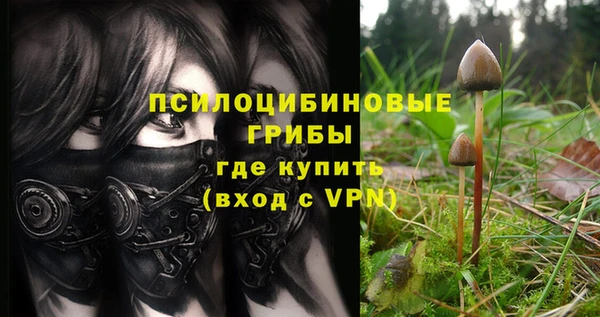 спайс Киренск