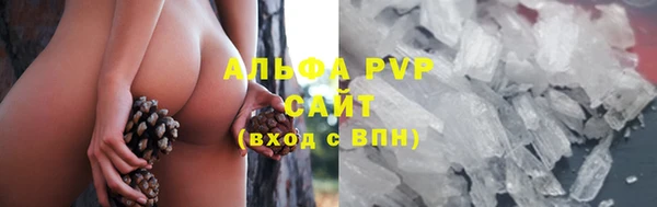 крисы Кинешма