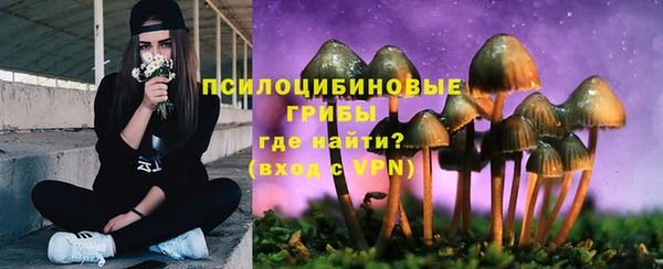 крисы Кинешма