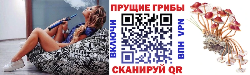Галлюциногенные грибы прущие грибы  Купить закладки  Видное 